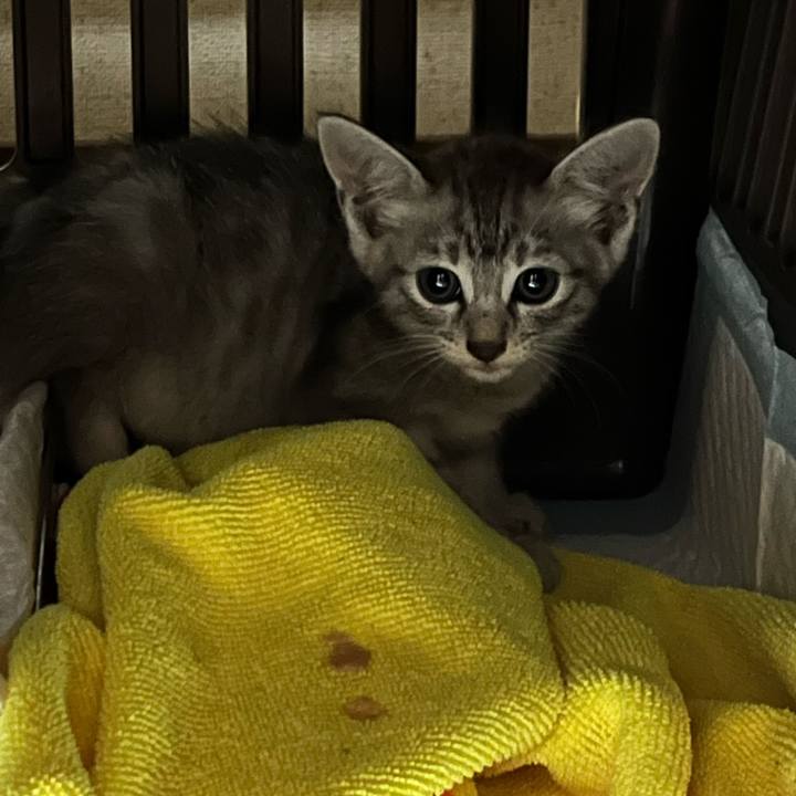 Ed3df45b 3400 4c86 a6c3 0b7dbc55205e 1694727415327