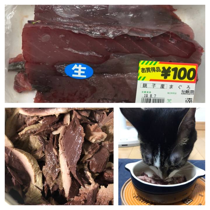 Ed3df9ee 665d 4f15 88a7 923c759a19ec 1566016546853