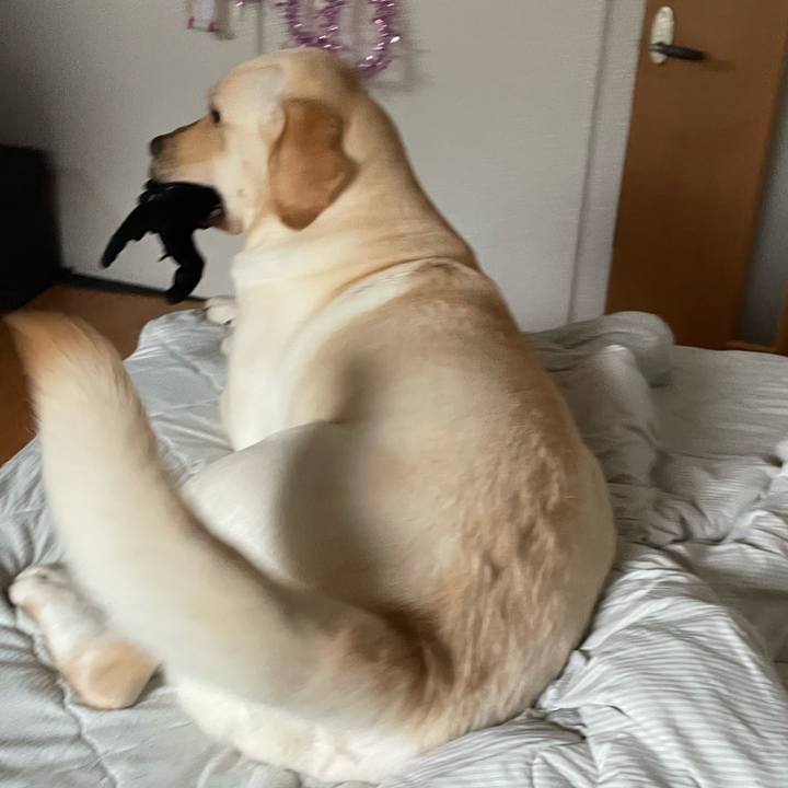 Ed3e288b 4c91 4d4a 9b68 a478e93719ae 1657495974493