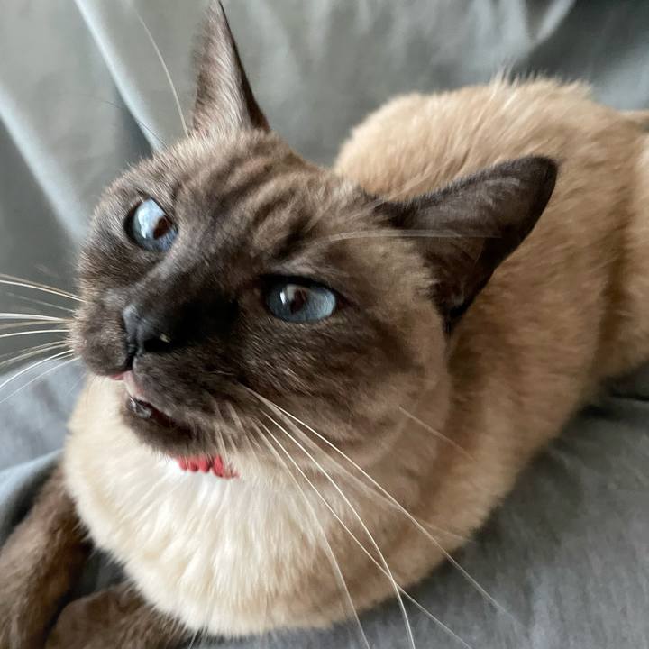 Ed3e2d96 10c2 4336 8b40 f9fed552466b 1768176249167