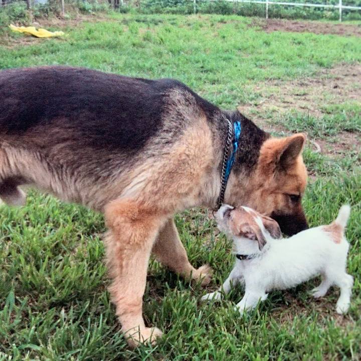 Ed3e6b35 e221 4a69 9973 a15cac3a41ef 1561696811944