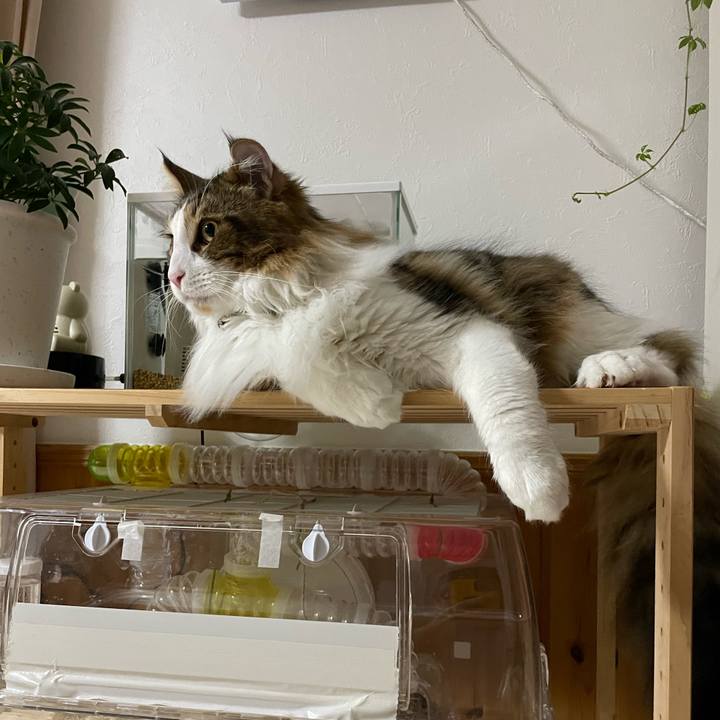 Ed3eafc6 6dc6 4a82 a228 ece9df6c7ab0 1648328537727