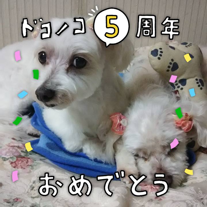 Ed3ebfb7 a779 449a b18b bd467522becb 1622873034742