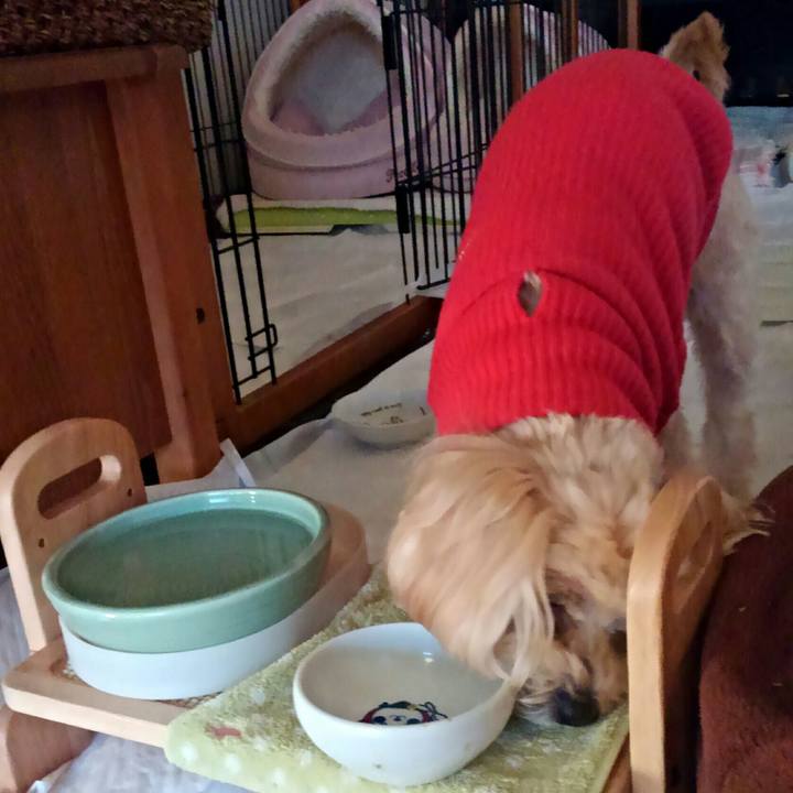 Ed3eec3d f8e5 440b 9690 0cf4eceabfc0 1518389679698