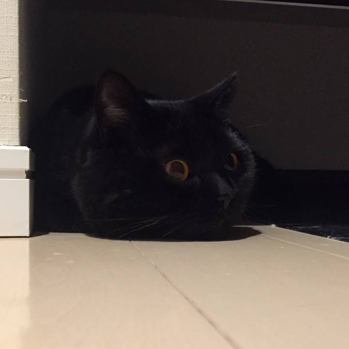 Ed3efba0 71c0 4971 b8a7 683f6d57e6fa 1589280970310