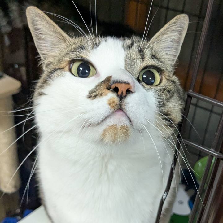 Ed3f0b5a a704 4ec0 b4b9 194bde7e8334 1772893125499