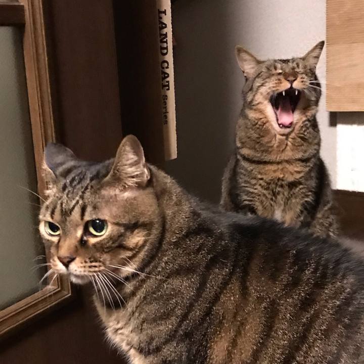 Ed3f36c3 575a 43be b017 307a26e63ec2 1669034654030