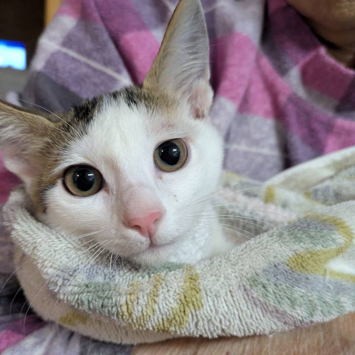 Ed3f689f 387d 4177 af59 e21d42410d48 1765663519440