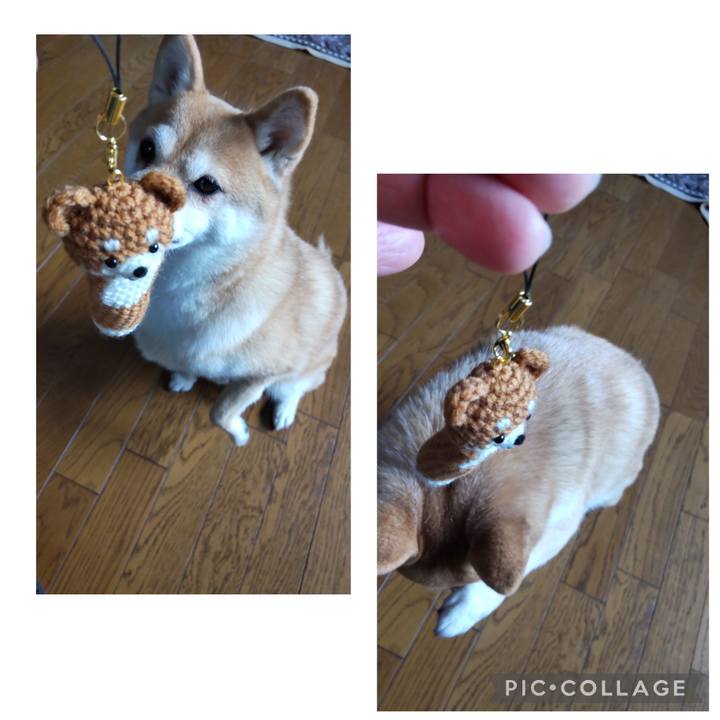 Ed3f9c17 3033 44a3 8da3 e63bda43490b 1767058319532