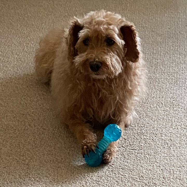 Ed3fd519 7b57 4103 86f9 be3fd8f19e25 1657787369108