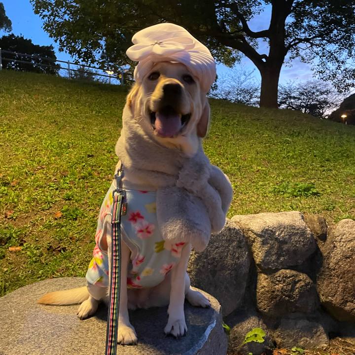 Ed40352b c40d 4827 8cf2 617dba017d67 1668423532293