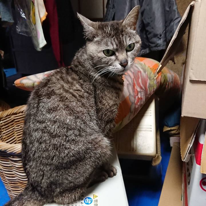 Ed40451f 4695 4d6a ba33 4204d909630e 1560074505256