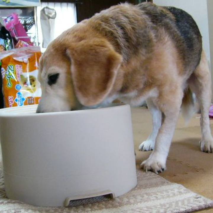 Ed404e9f 32bc 4001 af74 db40b9f06e53 1684456944105