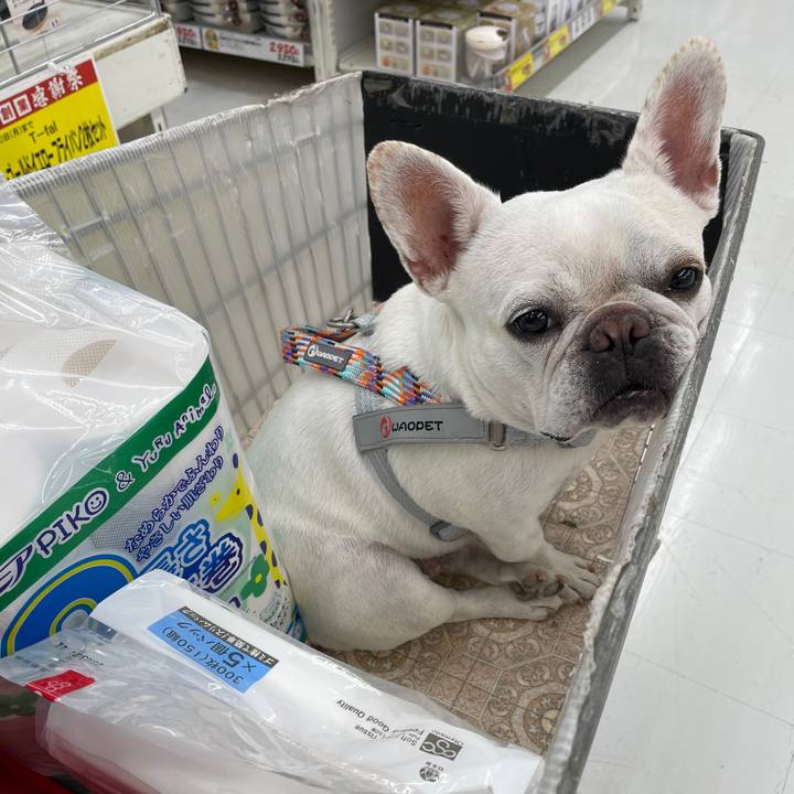 Ed406d65 c574 4fd3 8f08 0624357c54fa 1750742249373