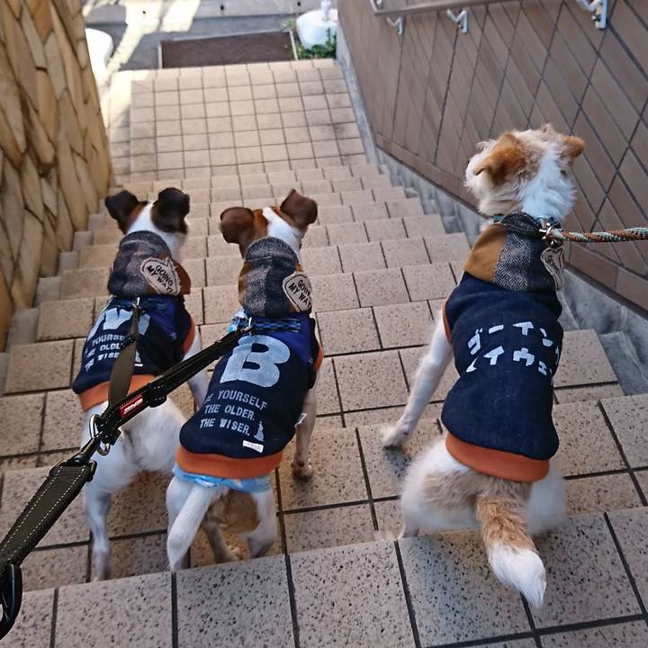 Ed4075d9 2760 4a43 bc58 b493f0771439 1545898243812