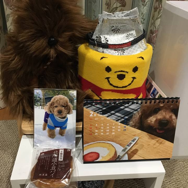 Ed408b06 2bee 4bec 89c7 90680d823e69 1550755033756