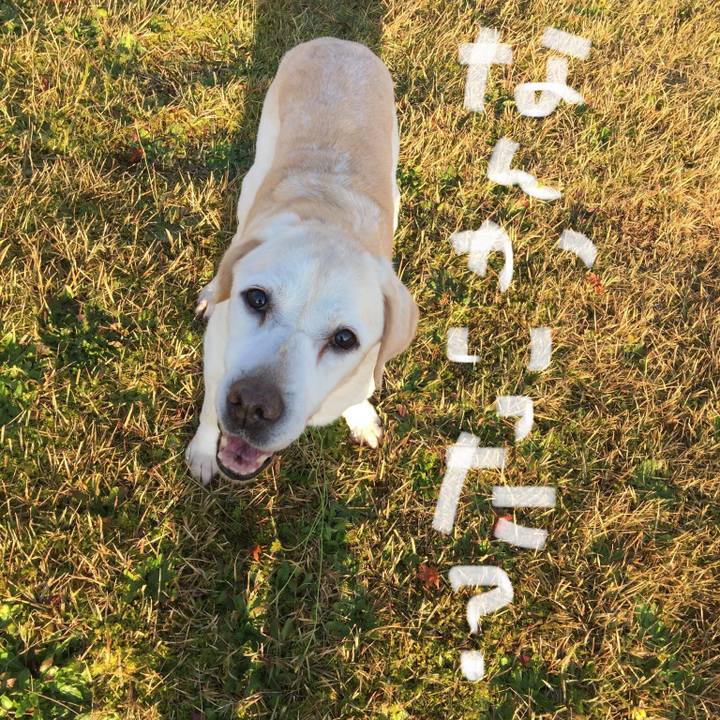 Ed40aea4 5f3f 4c40 a8e9 ebdaa4e2f3f8 1543282593742