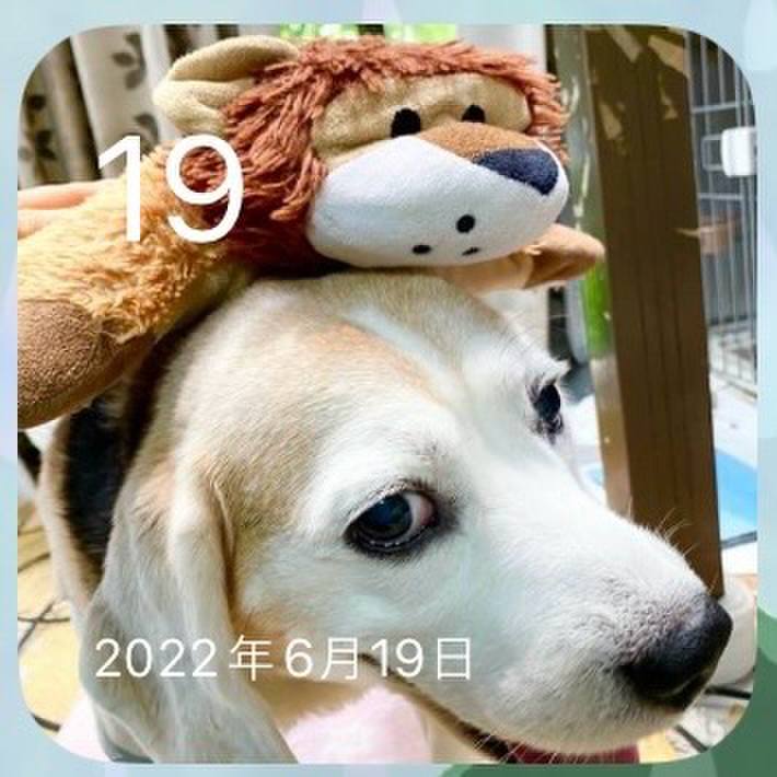 Ed40b4bf 6bc2 4747 9f51 86190035e71f 1718768759961