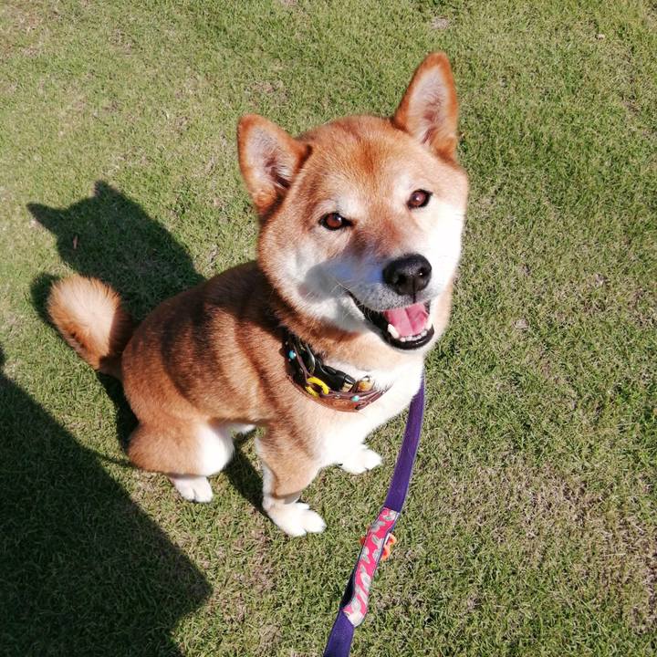 Ed40c980 a8c8 45a7 978a 9c961ac3ec5d 1622356911001