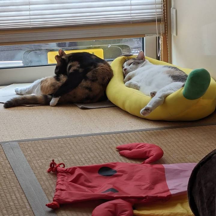 Ed40eb1f f6f2 4192 b690 b8c245a02726 1718170996053