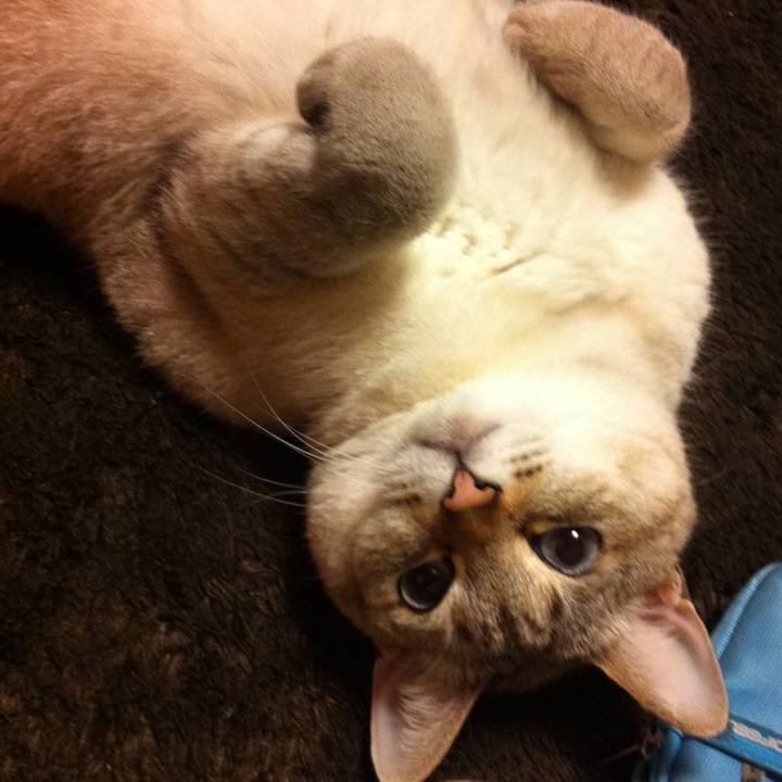 Ed40fe87 8d56 4d8f 8a22 3c8a1f130d6d 1617084538113