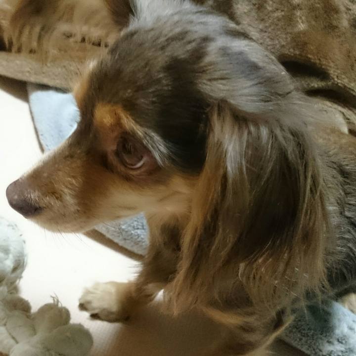 Ed40ffcb 5fa8 4661 8e28 844371907f78 1518182865829