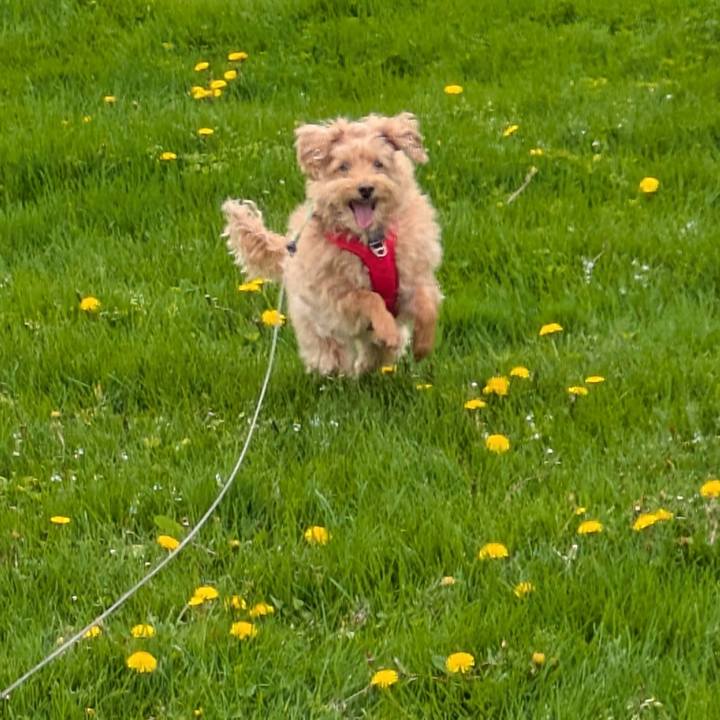 Ed413a30 48c3 41f8 a606 c9c8b4bead50 1749298729306