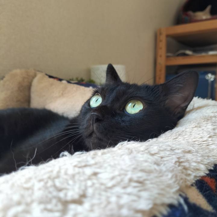 Ed415c65 f4cf 42d0 a34d 861e4652091e 1633147034267