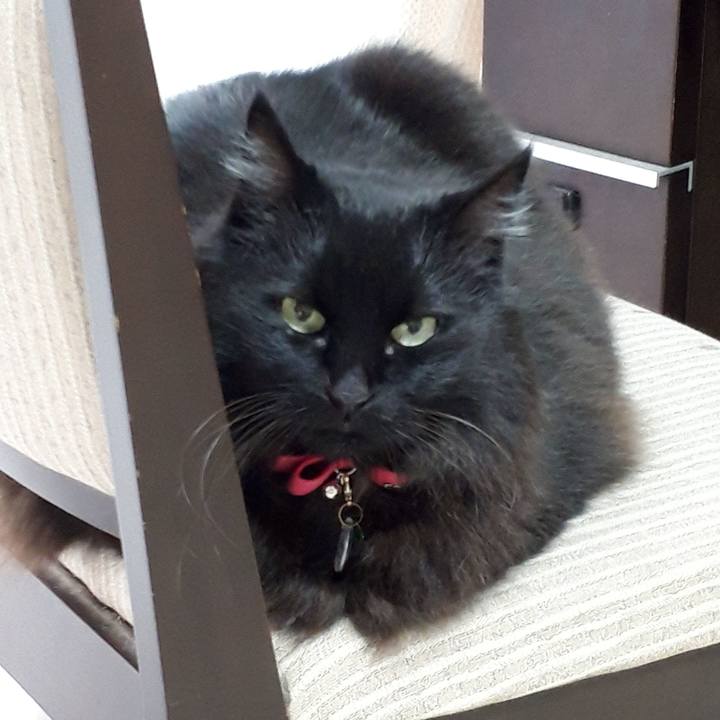 Ed415cbb 051a 4669 9d5b b462327dbc73 1518819273488