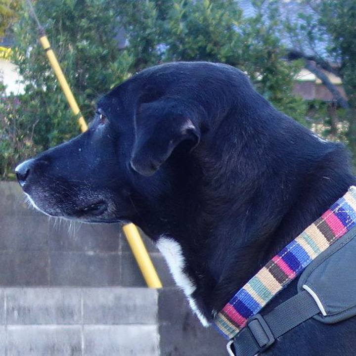 Ed418067 f3b6 42a6 953d 6d5a7ebbd124 1637975122062