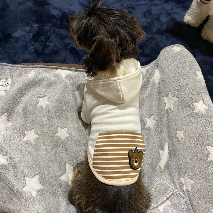 Ed418141 84be 44dd a607 485c2f9f2e0b 1577371537611