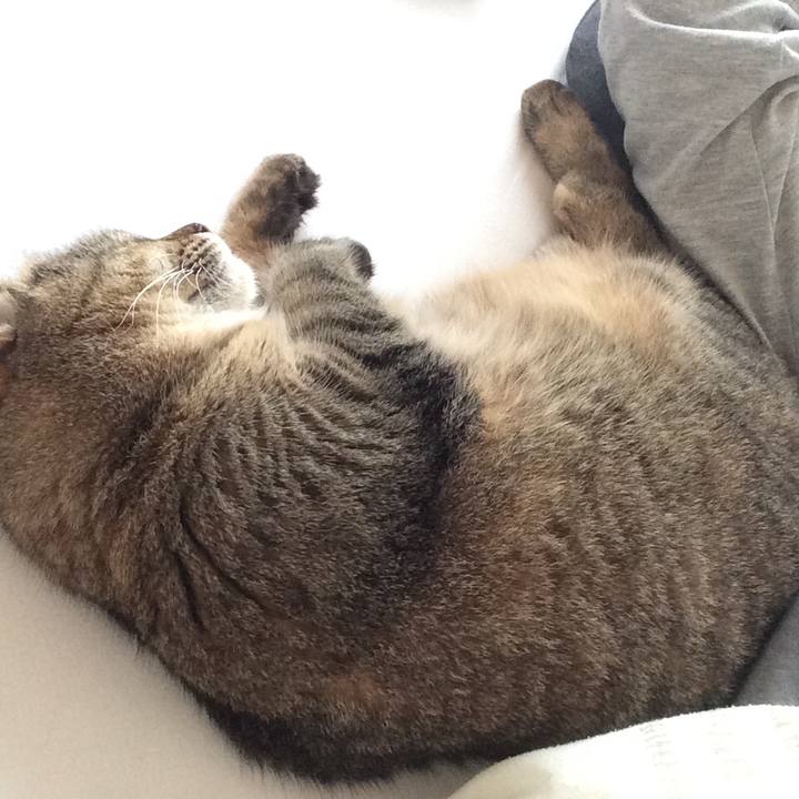 Ed41a316 ab00 4ad7 9b11 5aa5fa07c5ae 1541939197016