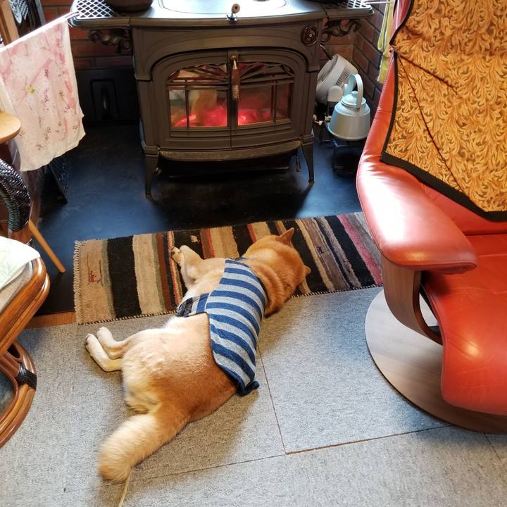 Ed41a6b5 2181 4f87 afc5 3d0ae831210a 1577056669579