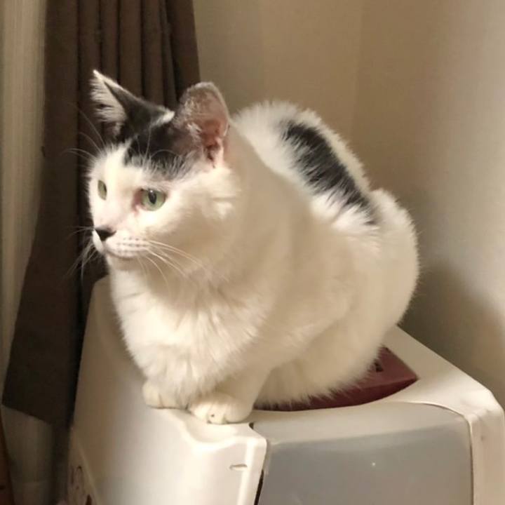 Ed41d250 ccc4 4004 a1a9 399c4cd8f572 1665917055019