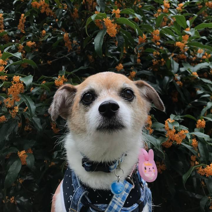 Ed41f3e2 f1b9 4277 a31e 06680fc9e16e 1631609299588