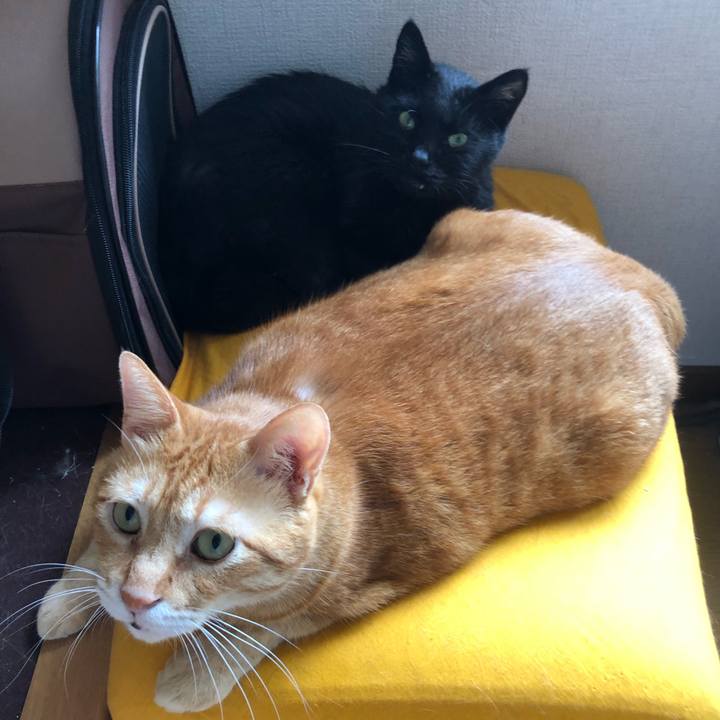 Ed4205c4 7b34 4630 b1bb 06ad8a522895 1628055507243