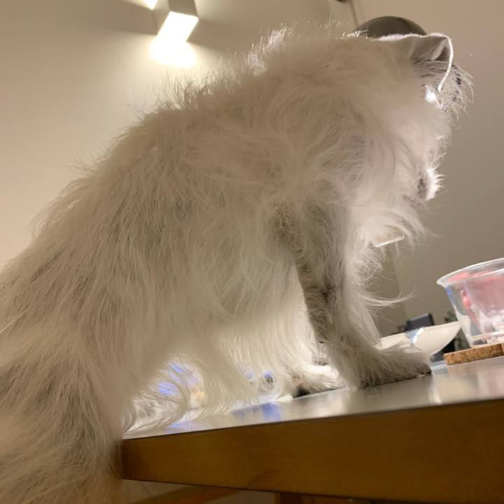 Ed422883 5b45 430b 8411 f672875c1cd4 1615555438854