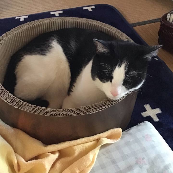 Ed4244fc 5d99 4ddc 9dd2 e0bfe610d163 1707626790863