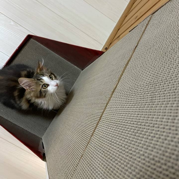 Ed427ff3 73b8 40ee 9ef0 ebddcee74fd5 1634297030742