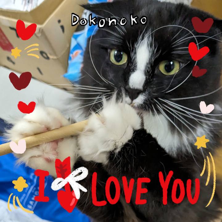 Ed4304c0 d1fd 4992 b003 299d2f6990fe 1706756496408