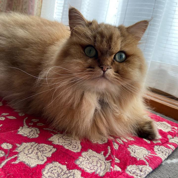 Ed43195a 09b0 453b 855e da13dad72676 1631233150119