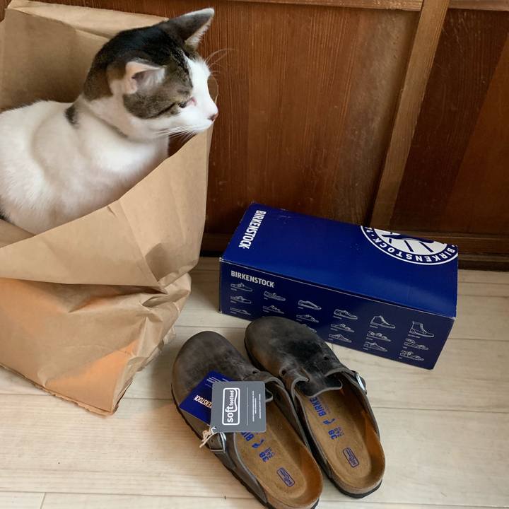 Ed43236c fb50 45cb a6f4 b33f84ce8497 1576329650720