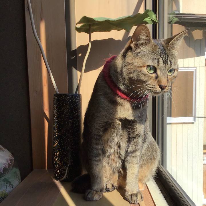 Ed4346f6 42e1 4c35 9942 c0efcf15761a 1612489879189