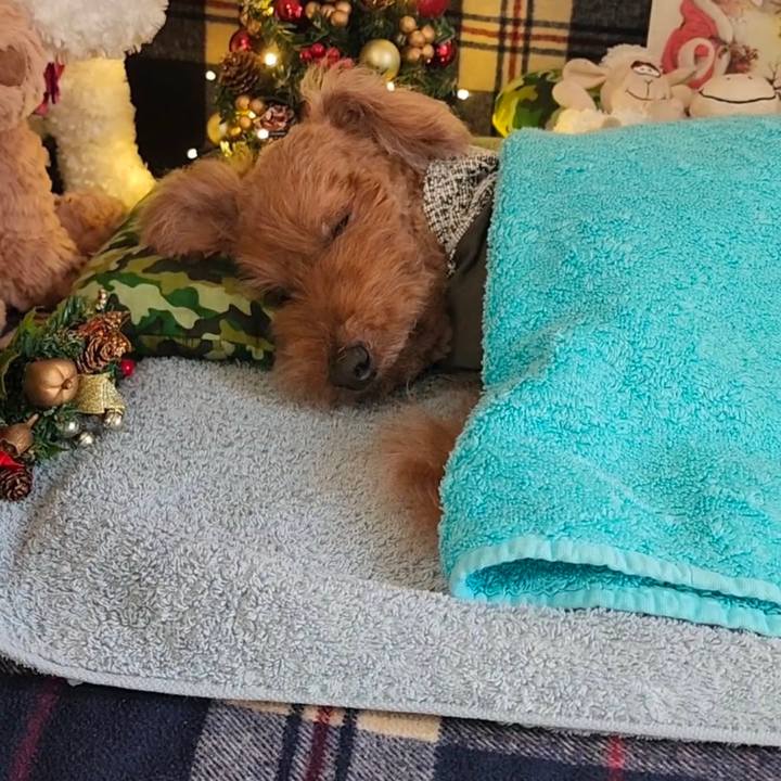 Ed434b01 0a51 4d06 ae54 b66b90af9037 1734753021217