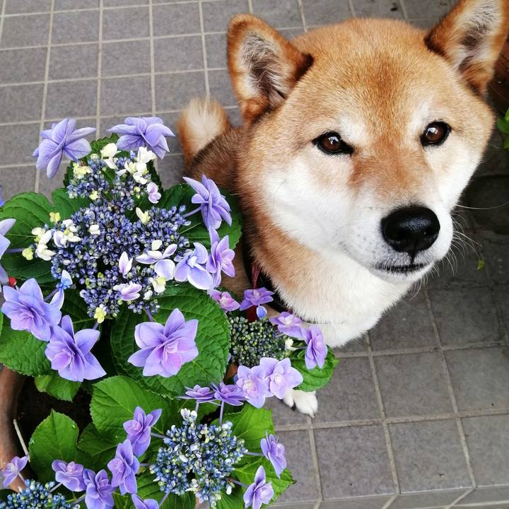 Ed435dd6 433b 439c b3b9 3b71410c4f82 1590364380632