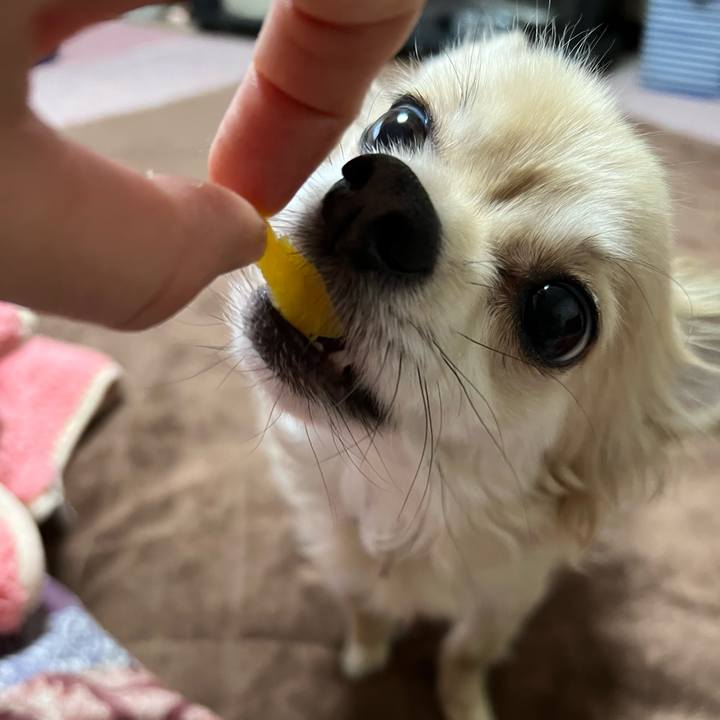 Ed436063 87d5 4606 ac89 2c2379176981 1646566029669