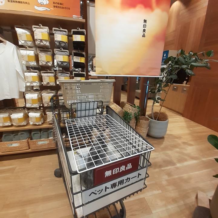 Ed4369a6 7785 4f9c baa8 bde1031ec753 1697343454993