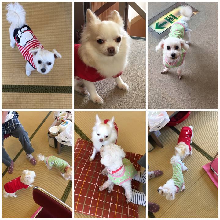 Ed43790e 19ff 4a49 a754 50da2cb9119a 1542623397826