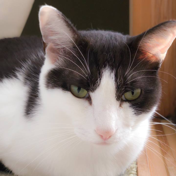 Ed4379ae 1f91 4221 9e08 827d5f1253b0 1563585964171