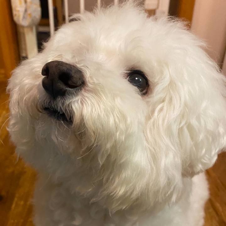 Ed4394fd d44f 4f5e 92b7 c6387d8216e5 1756941978782